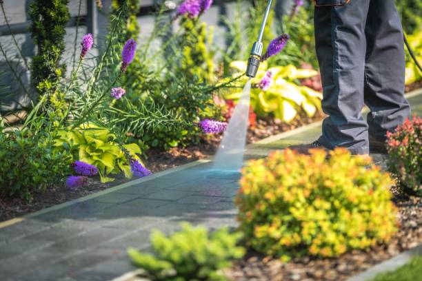 Best Fence Cleaning and Maintenance in Allen, TX